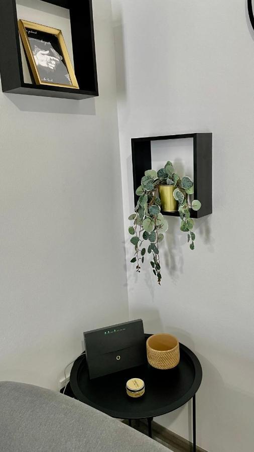 Gorgeous Renovated Apt. Close To Metro And Cultural Sites! 아테네 외부 사진