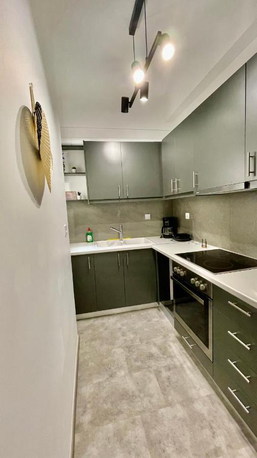 Gorgeous Renovated Apt. Close To Metro And Cultural Sites! 아테네 외부 사진